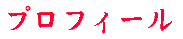 �v���t�B�[��