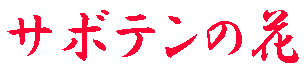 �T�{�e���̉�